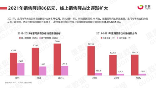 2021年美容仪行业社媒营销分析报告